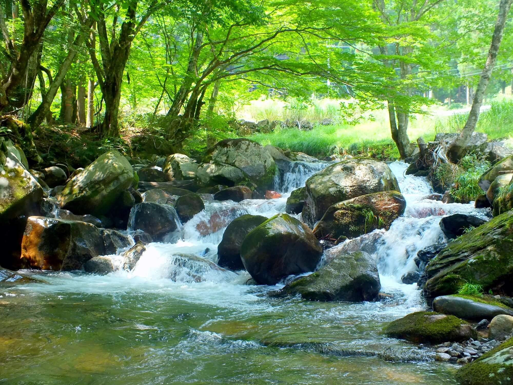 千種川 日本の名水